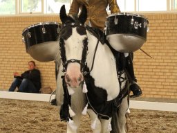 IMG_5455_web